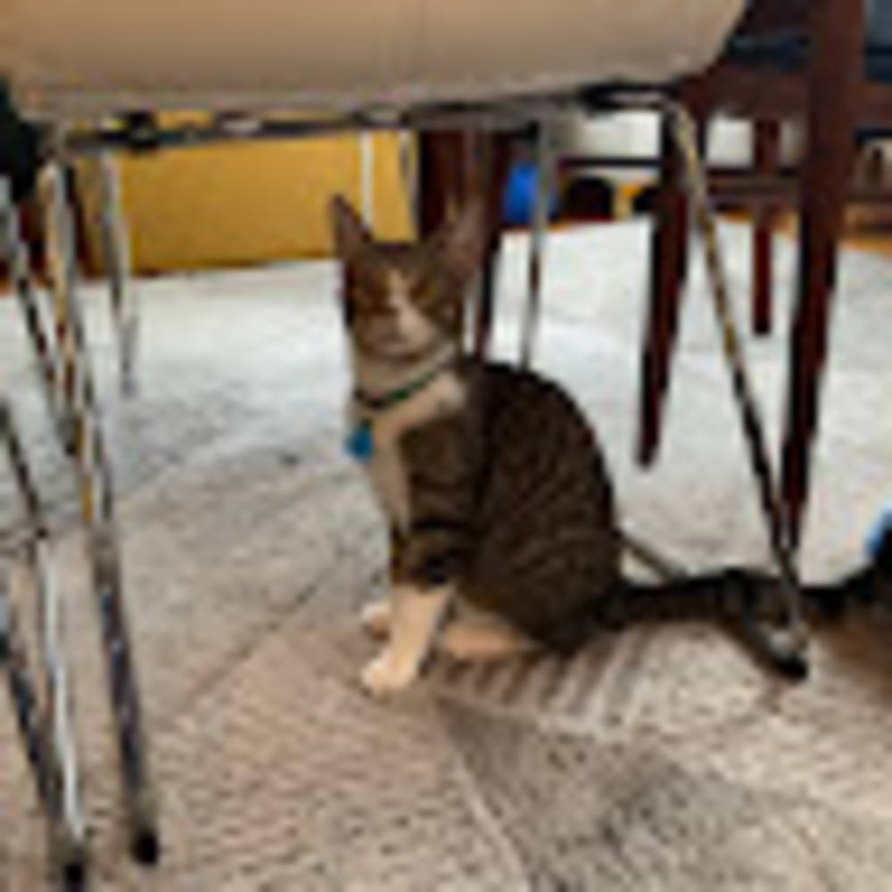 Meet your Posher, Zoe